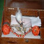 Vraj-Yatra-2014- (1071)